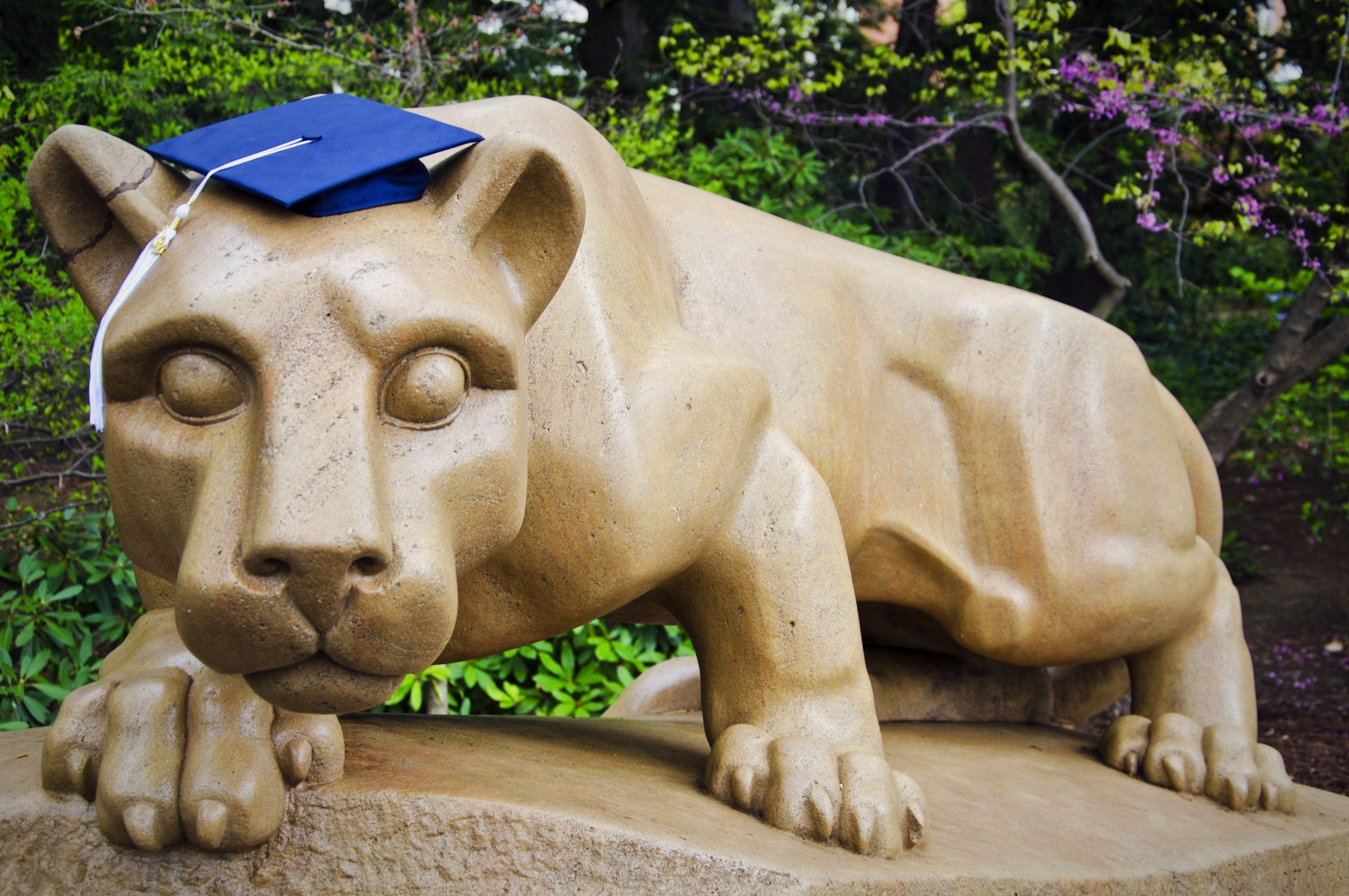 Review Penn State World Campus Online Degree Programs